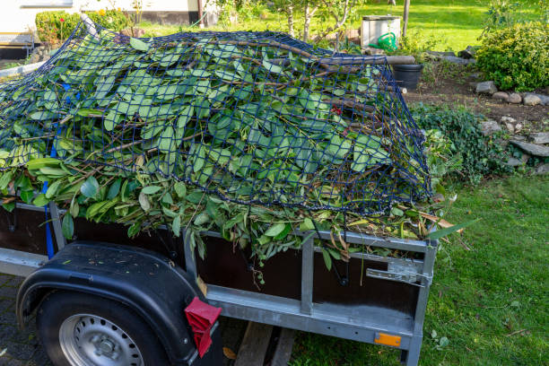 Best Furniture Removal  in Magnolia, NJ